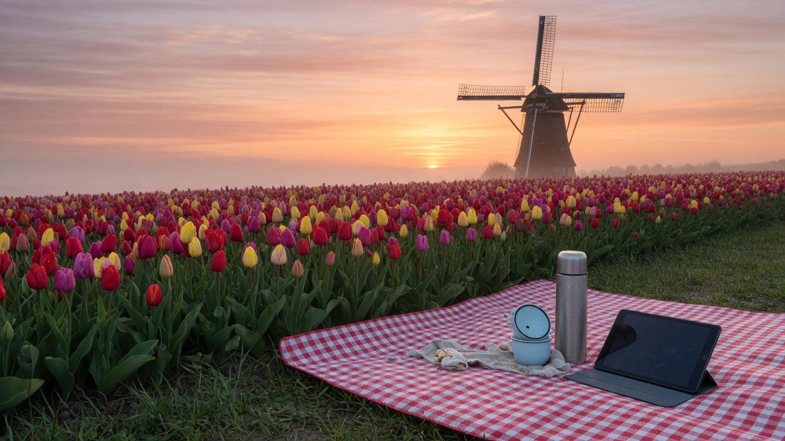 online casino netherlands haalt bonuscijfers alleen uit de merkvoorwaarden.
